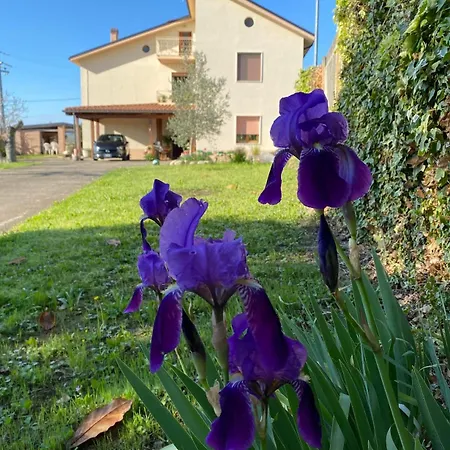 Panzió Flavia 21